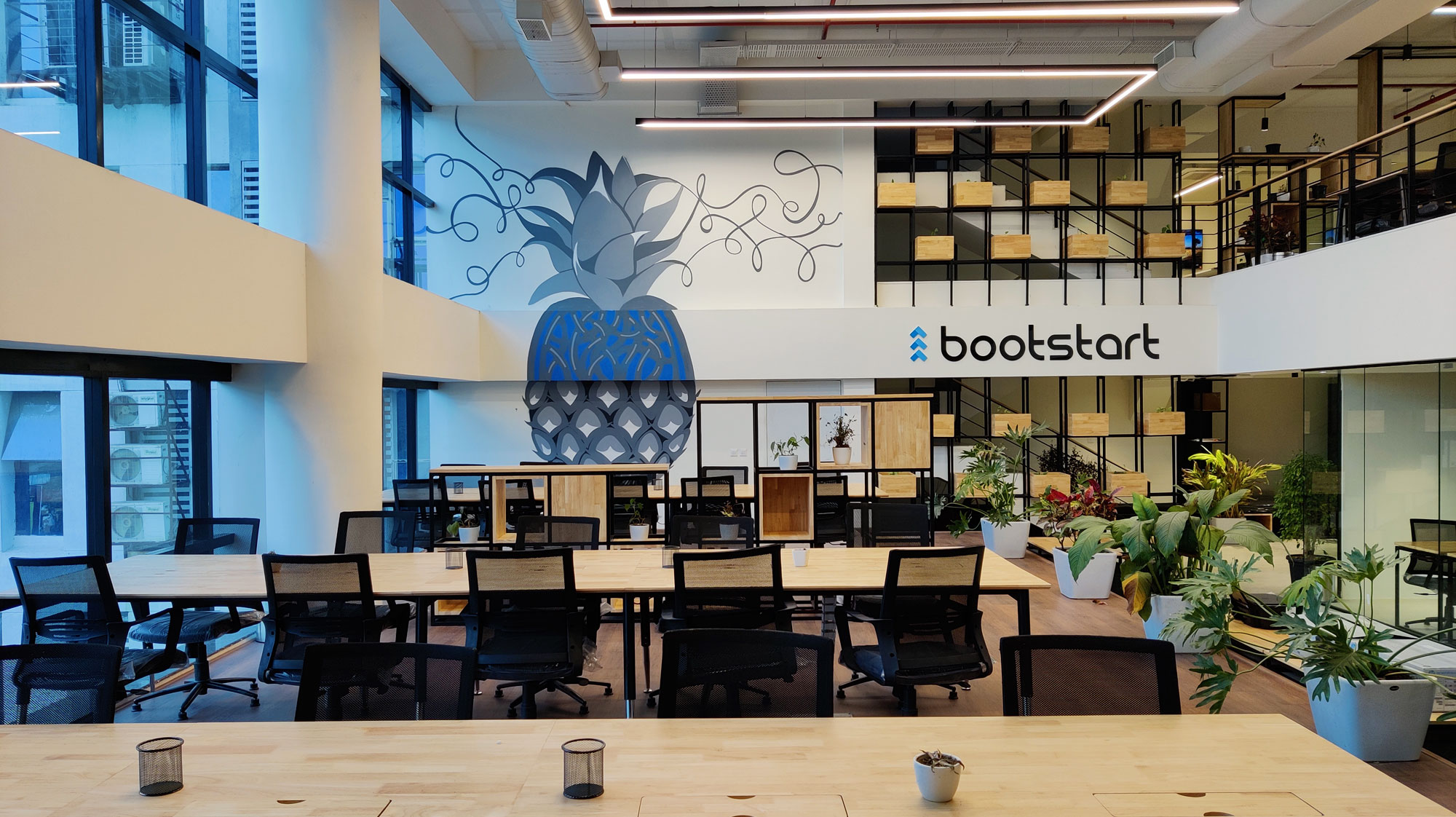 Tribe Stays joins Forces with Bootstart