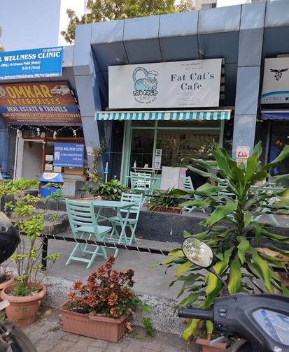 Fat Cat’s Cafe